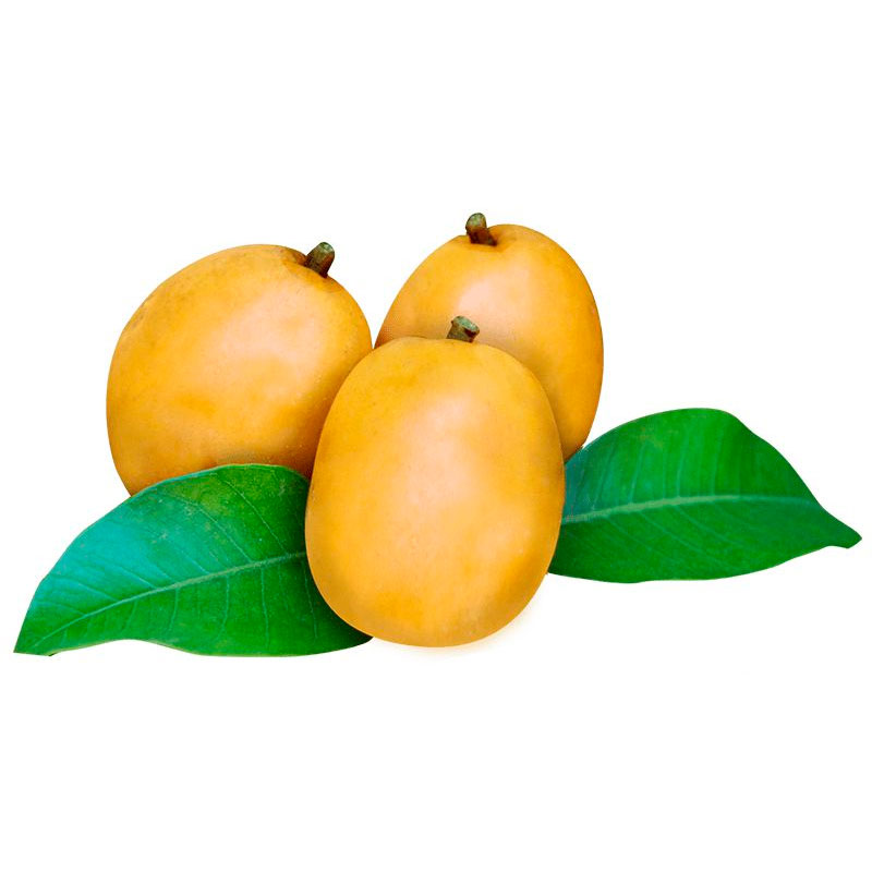 Cajá