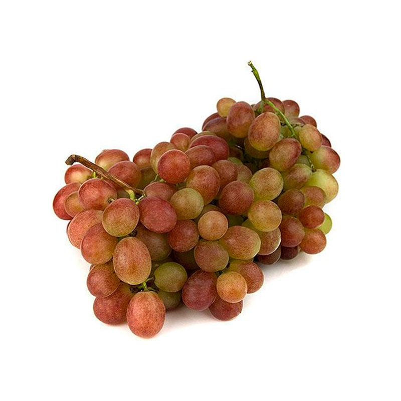 Uva rubi