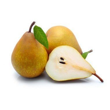 Pera portuguesa