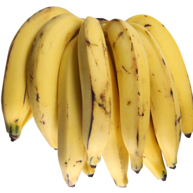 Banana da terra
